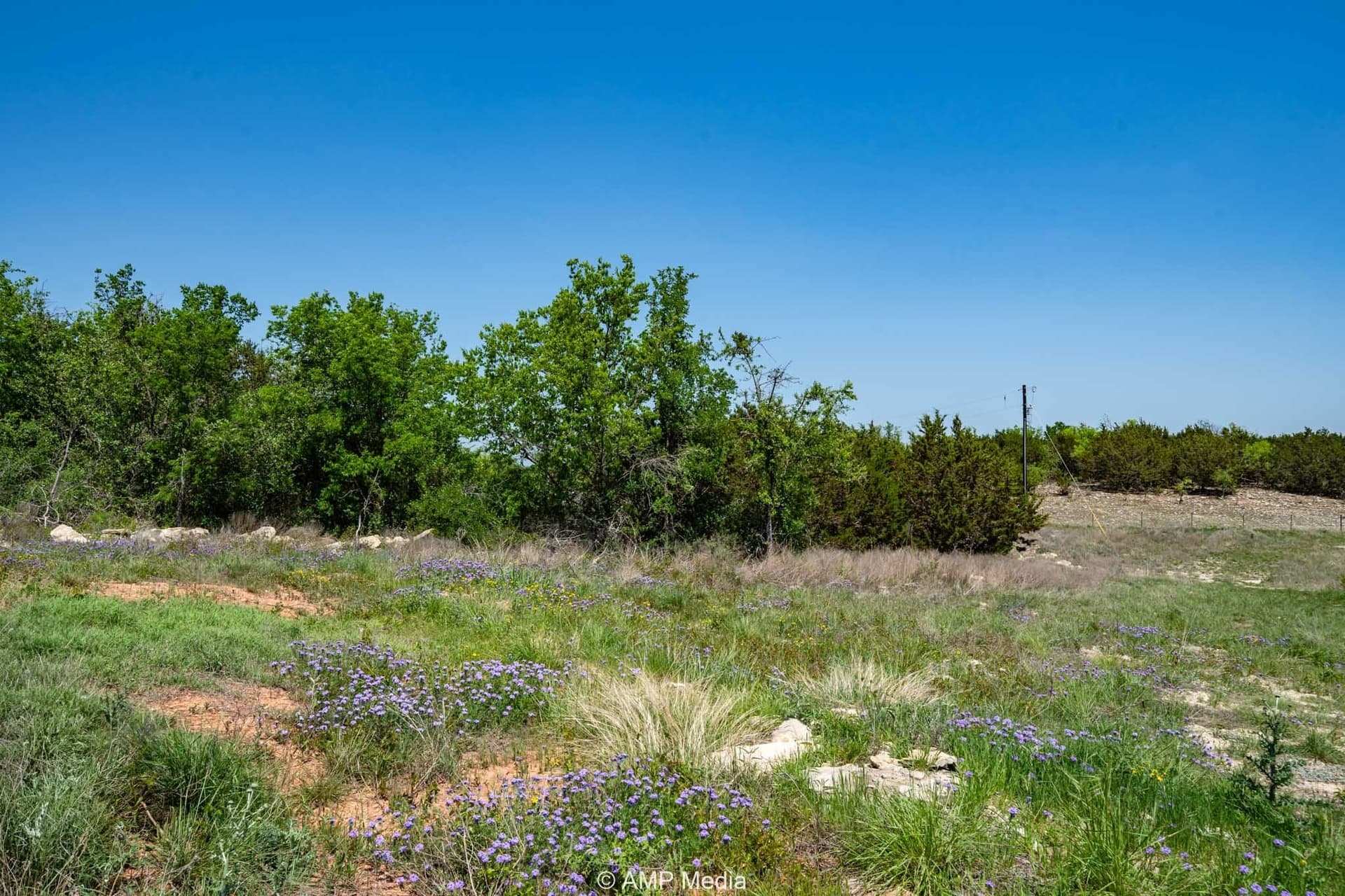 94.35 acres in Comanche County - photo 9