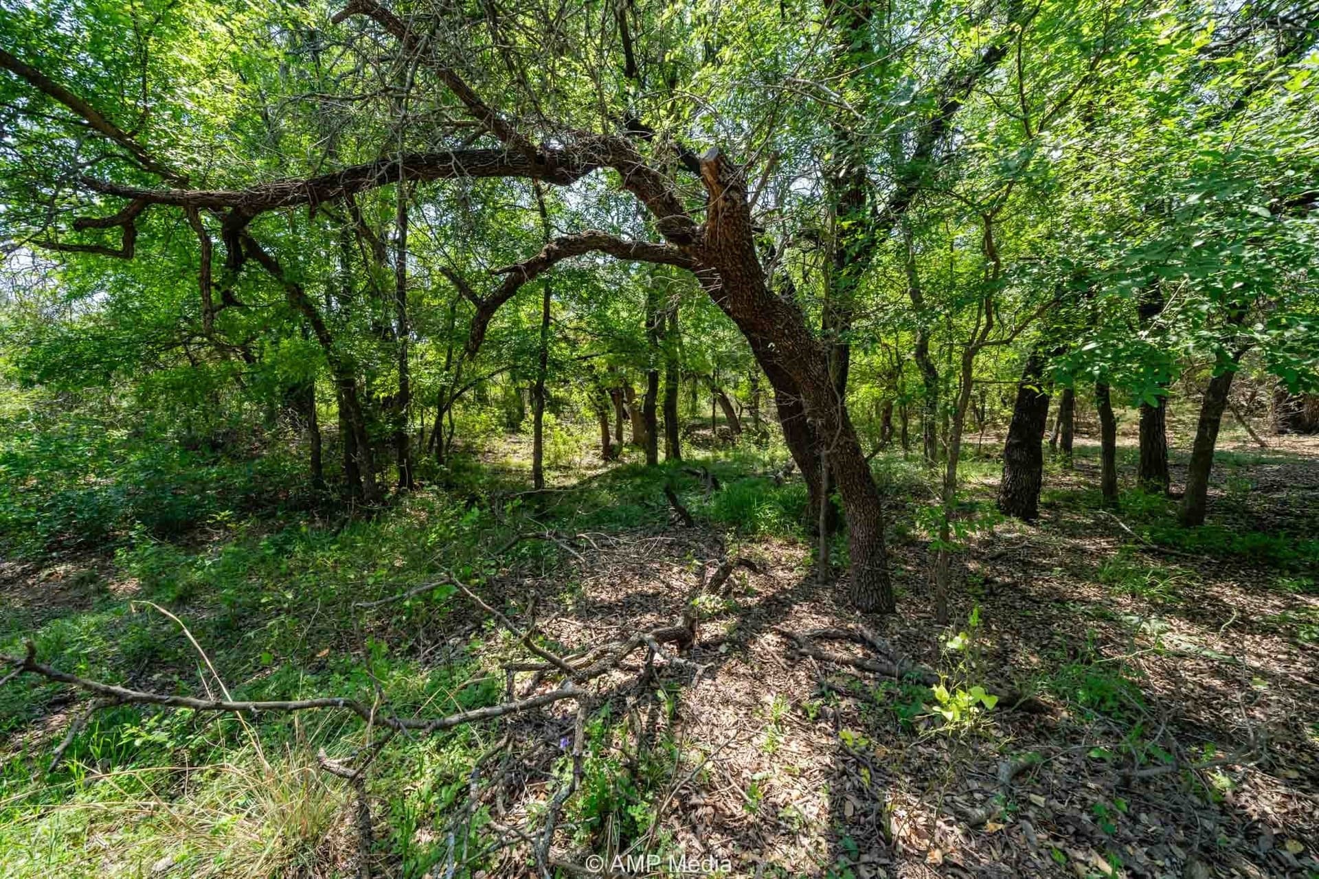94.35 acres in Comanche County gallery image 4