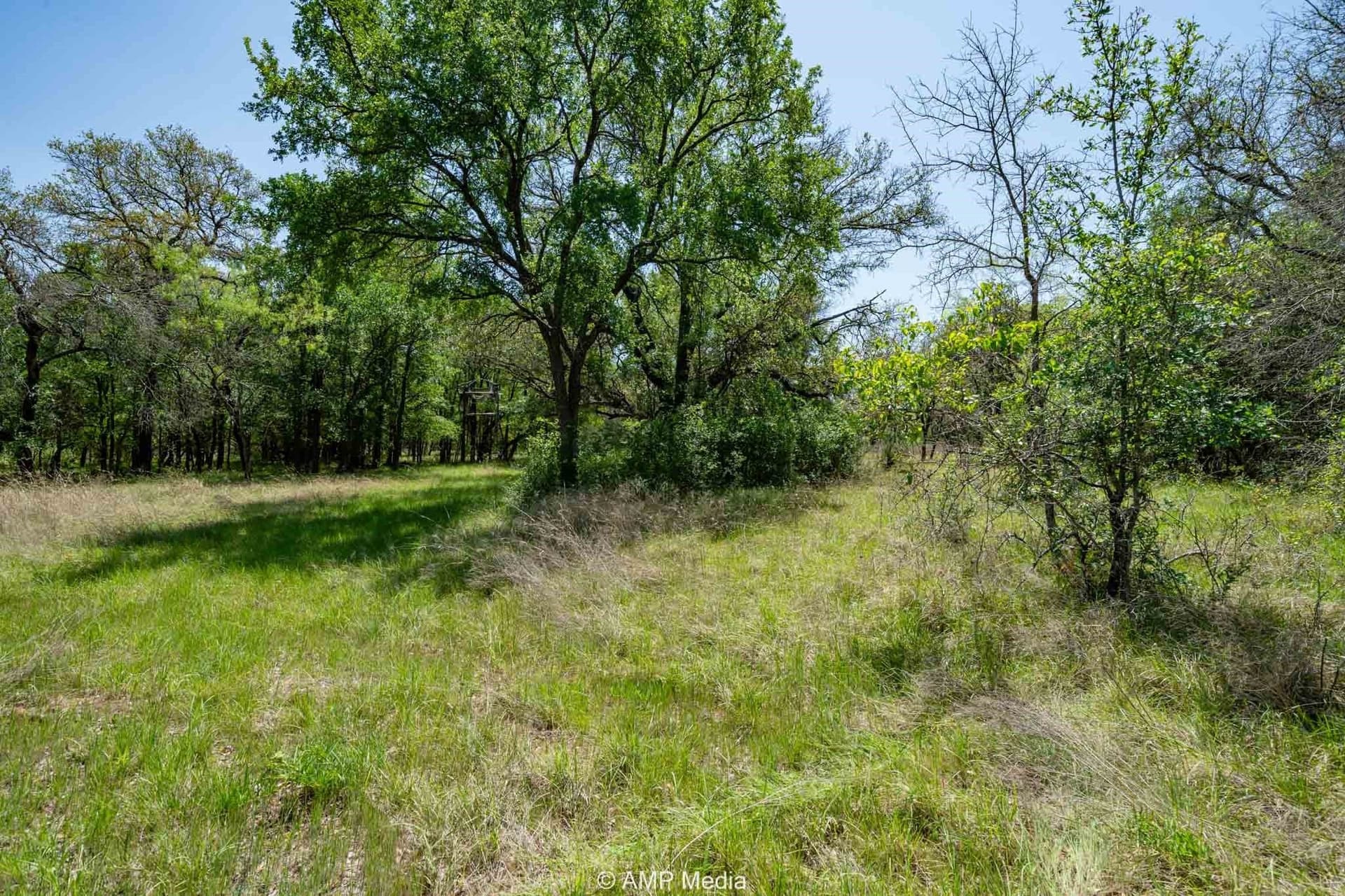 94.35 acres in Comanche County featured view
