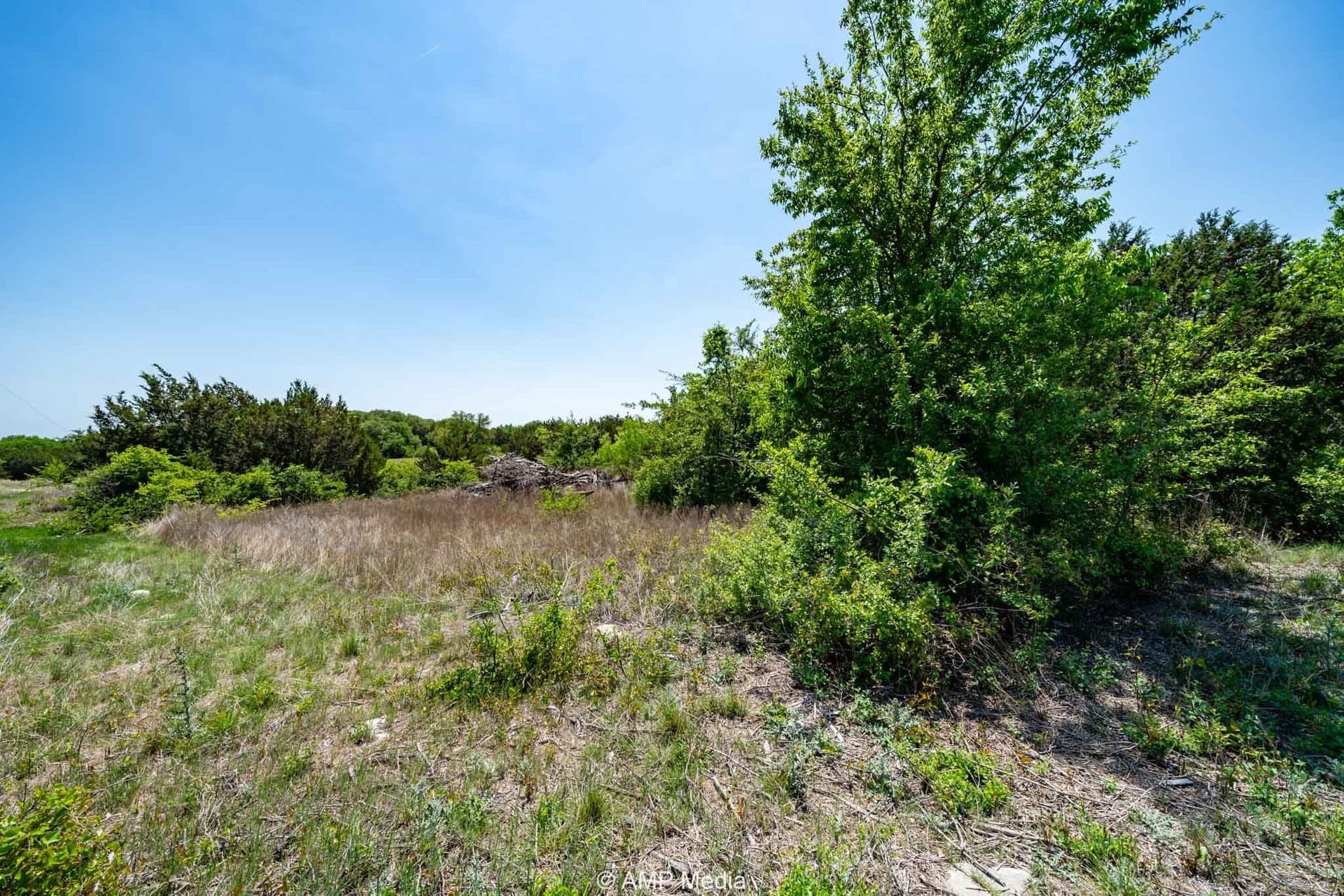 94.35 acres in Comanche County - photo 7