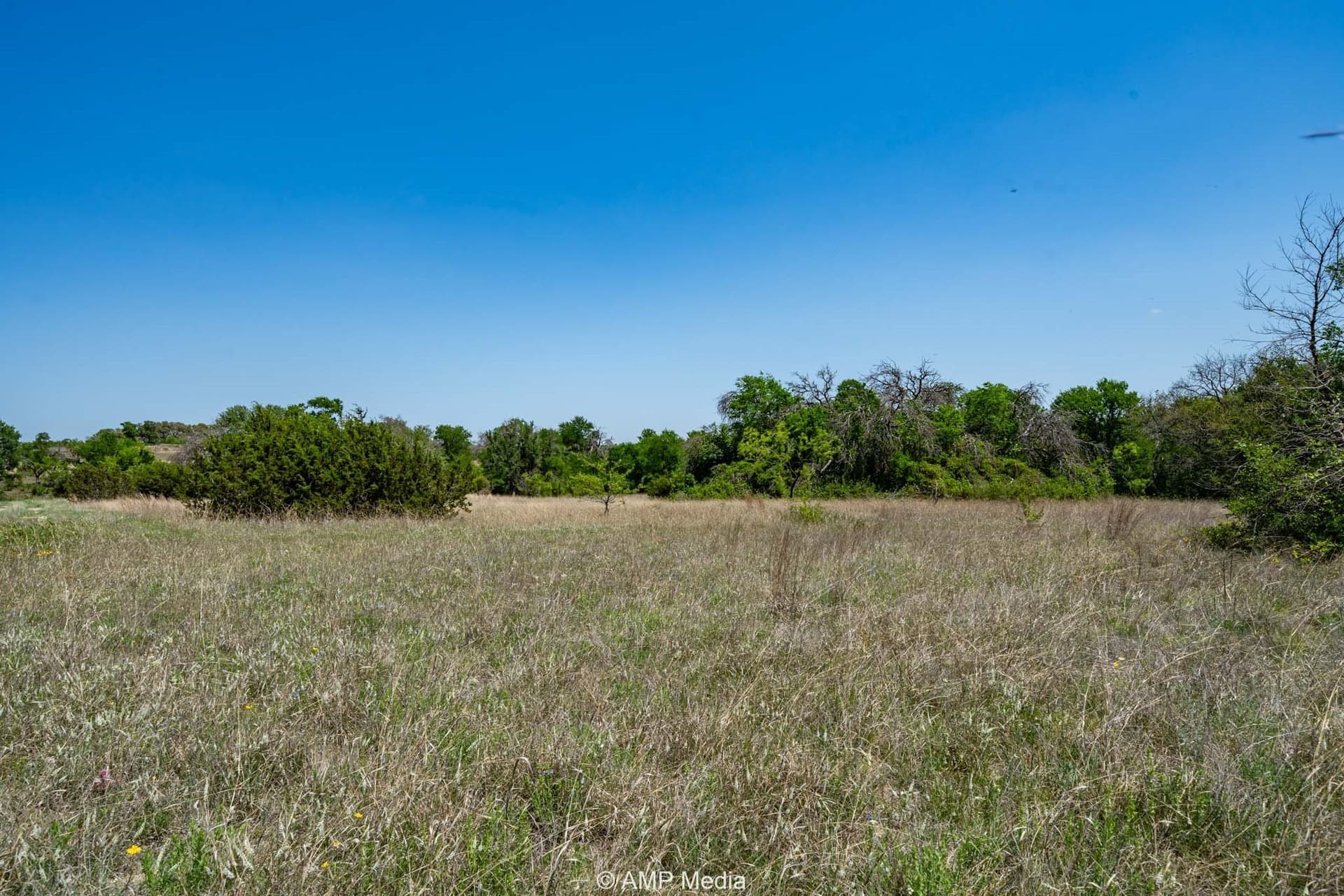 94.35 acres in Comanche County gallery image 3