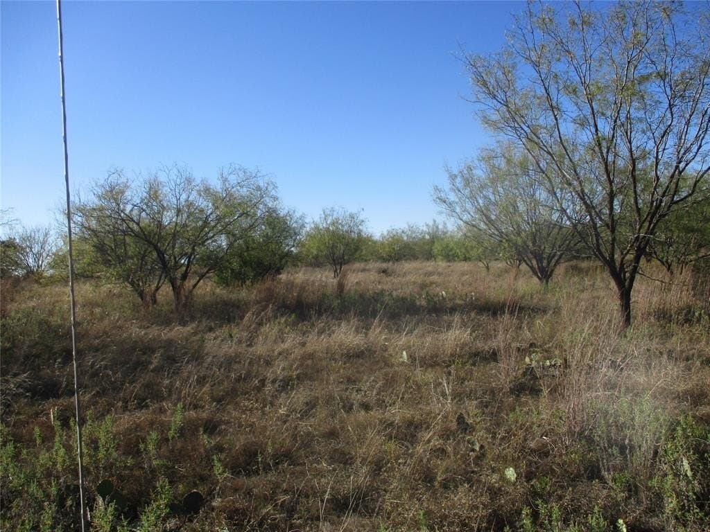 80 acres in Eastland County featured view