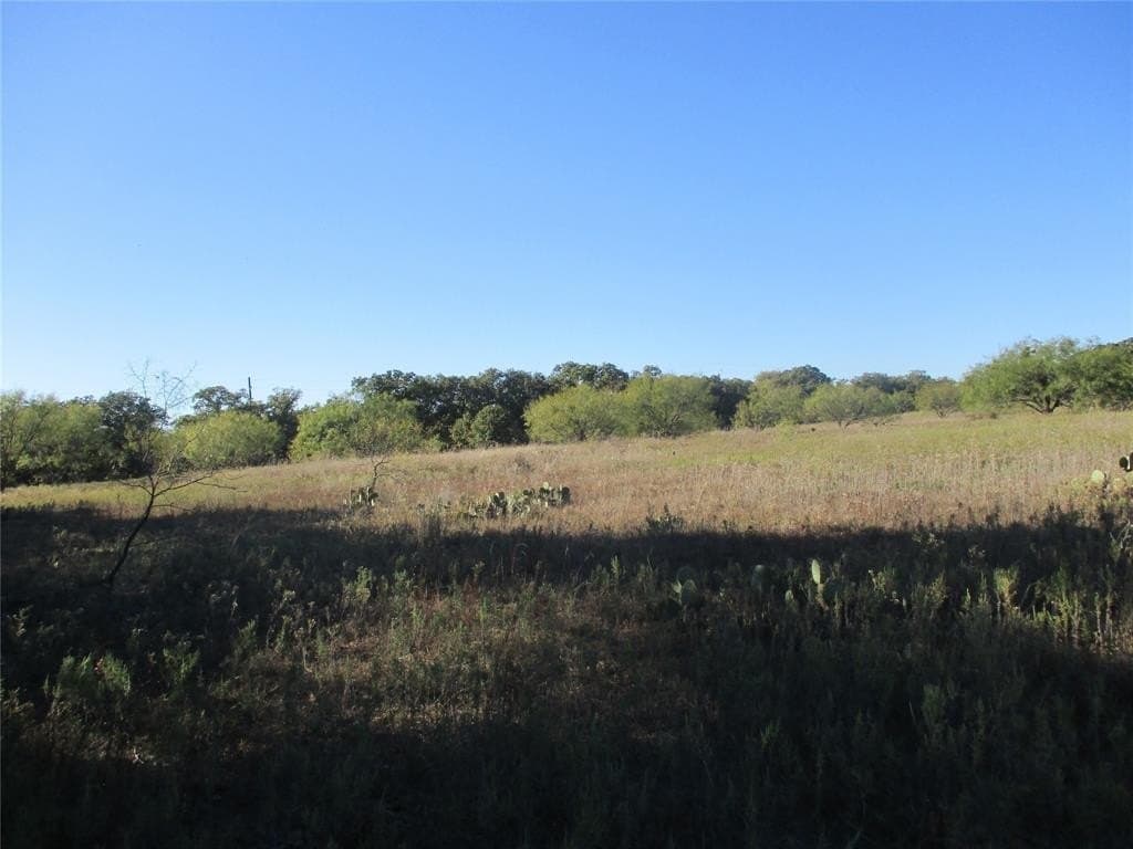 80 acres in Eastland County gallery image 4