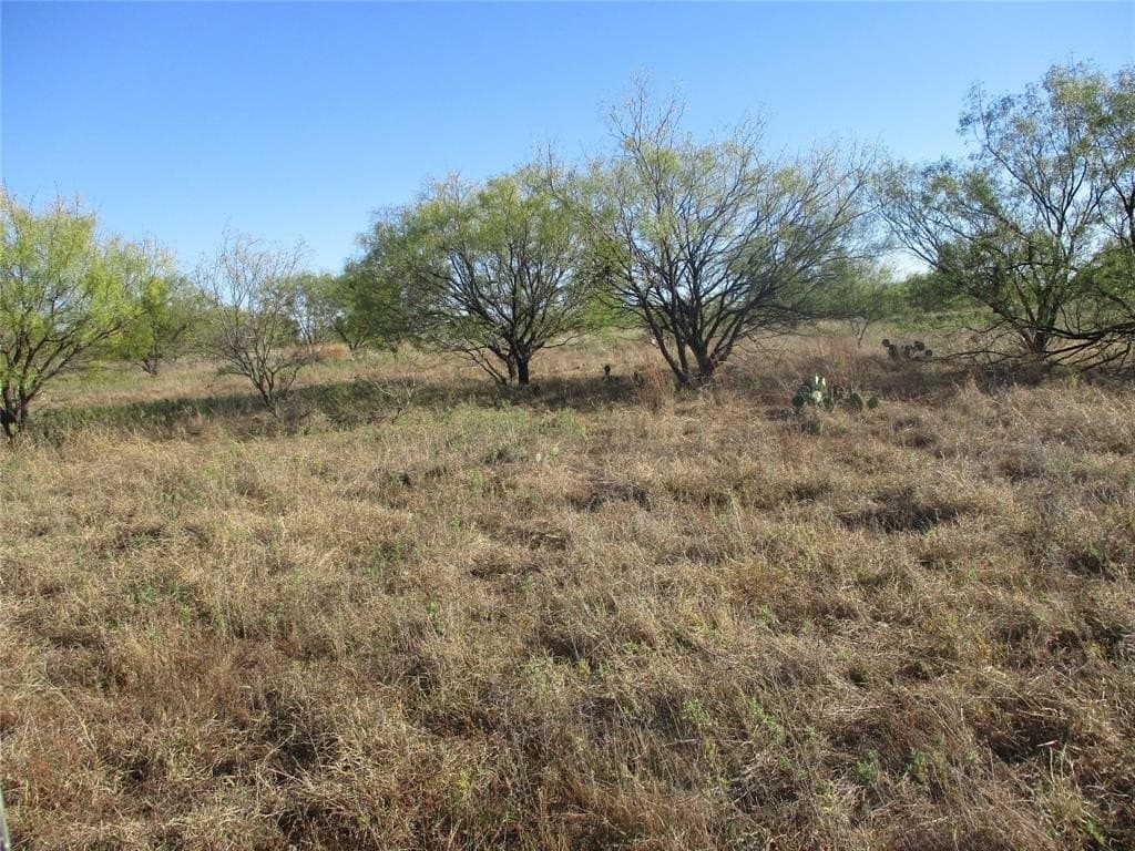 80 acres in Eastland County