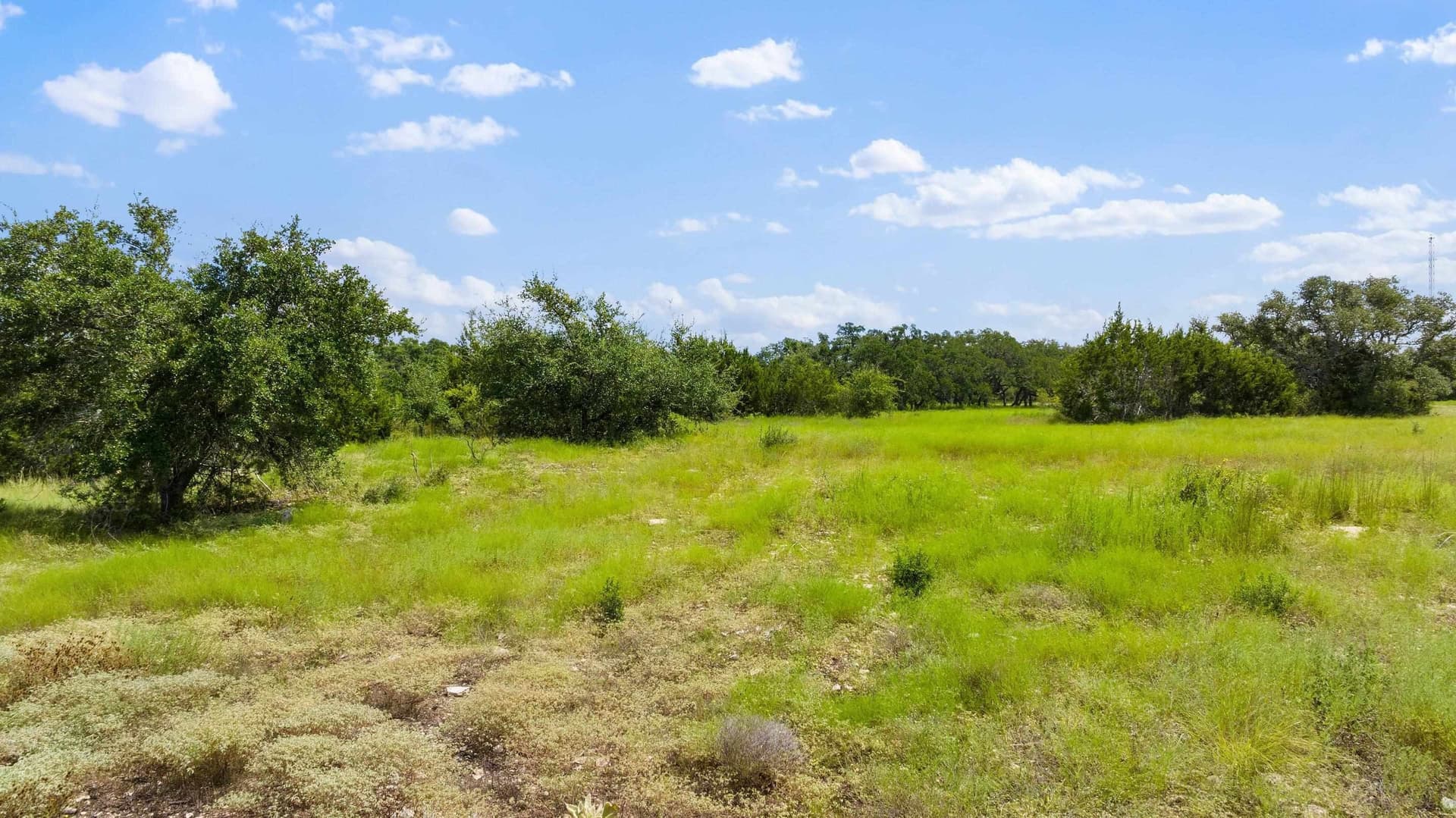 5 acres in Blanco County - photo 29
