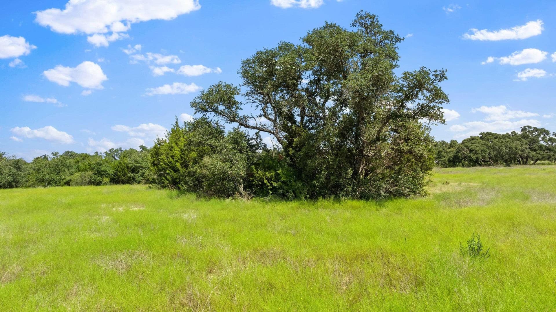 5 acres in Blanco County - photo 25