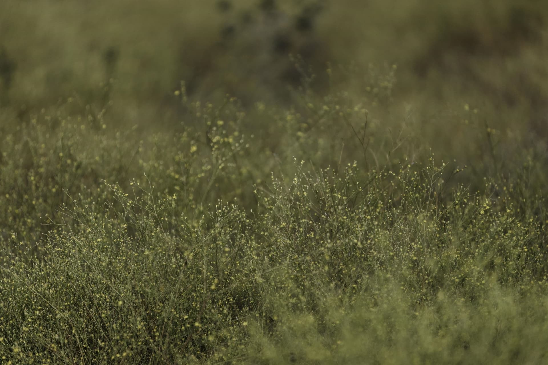 5 acres in Blanco County featured view