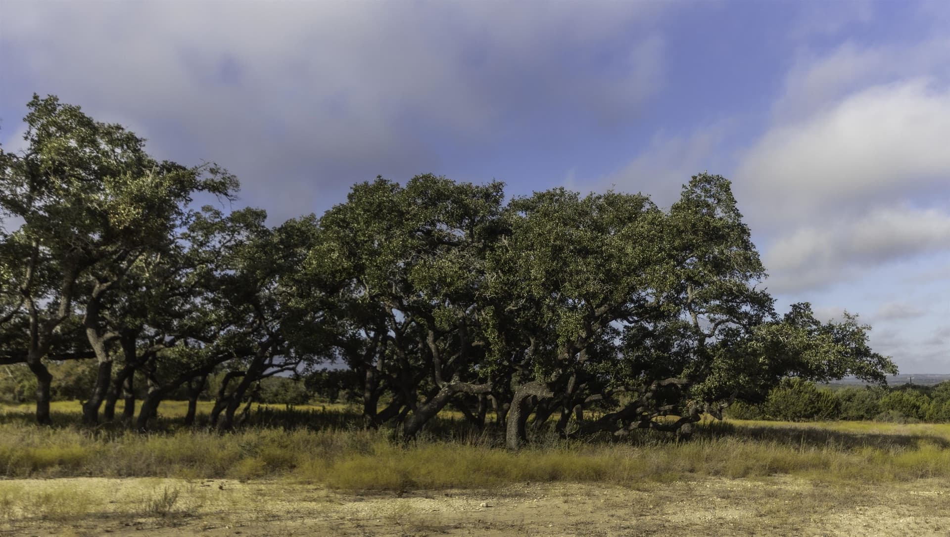 5 acres in Blanco County - photo 11