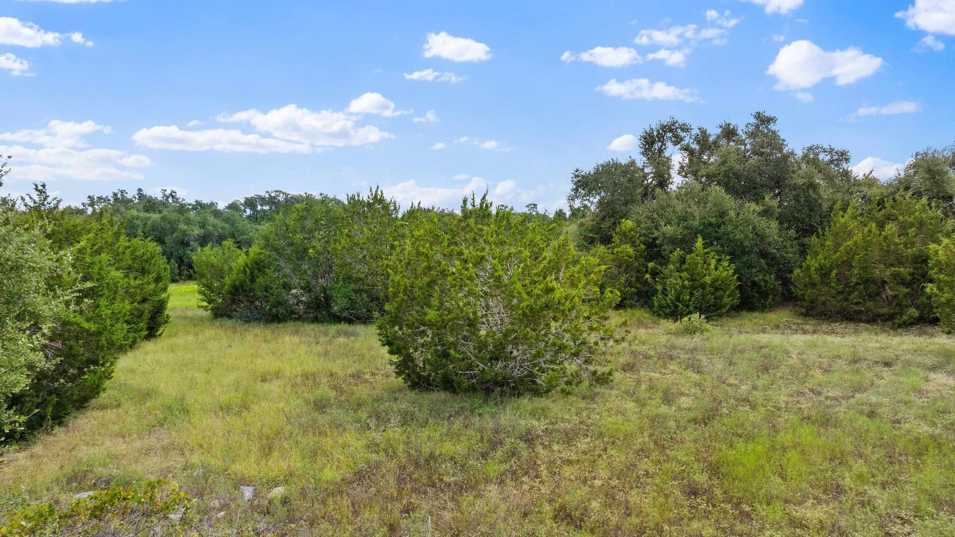 5 acres in Blanco County - photo 18