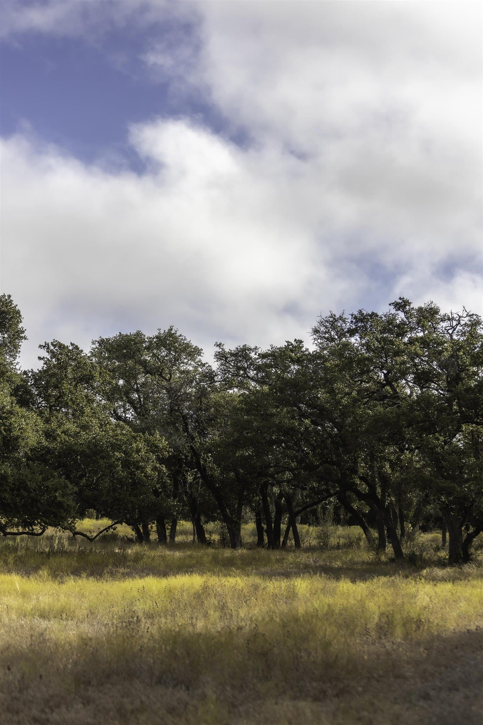 5 acres in Blanco County - photo 8