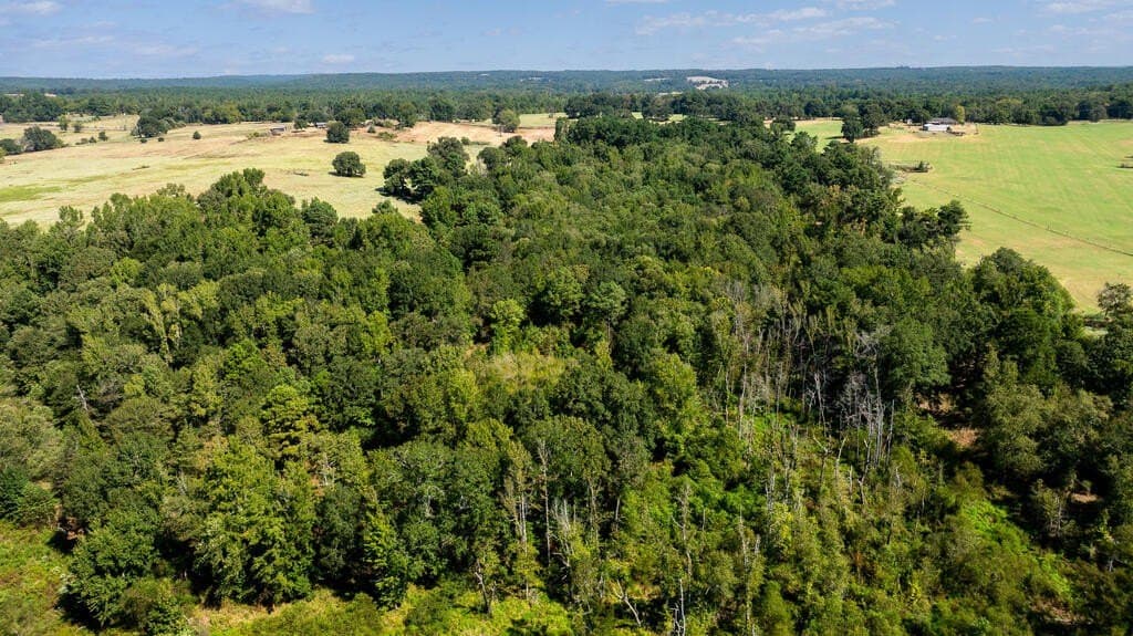 108 acres in ANDERSON County - photo 21
