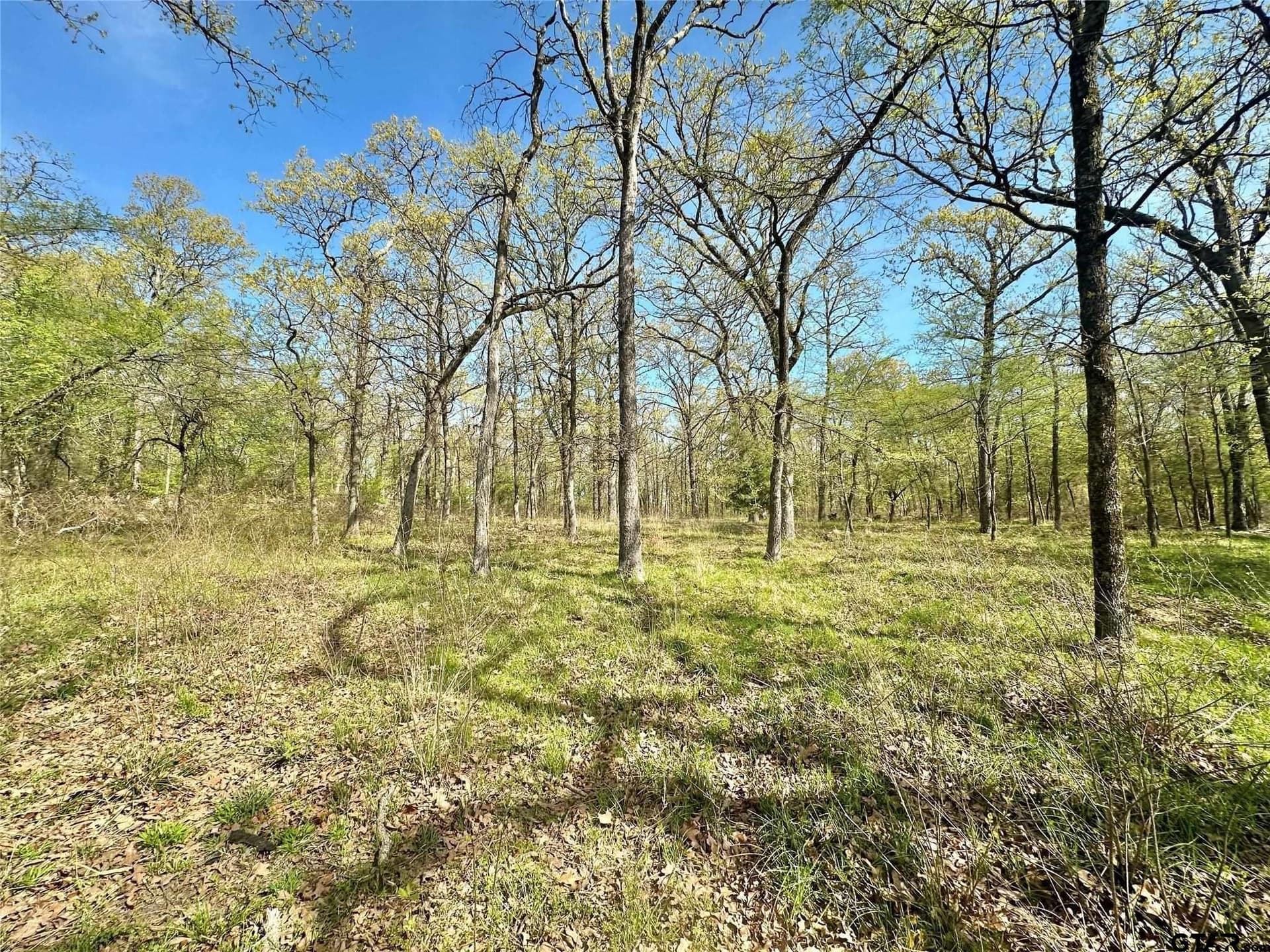 2.44 acres in Hopkins County featured view