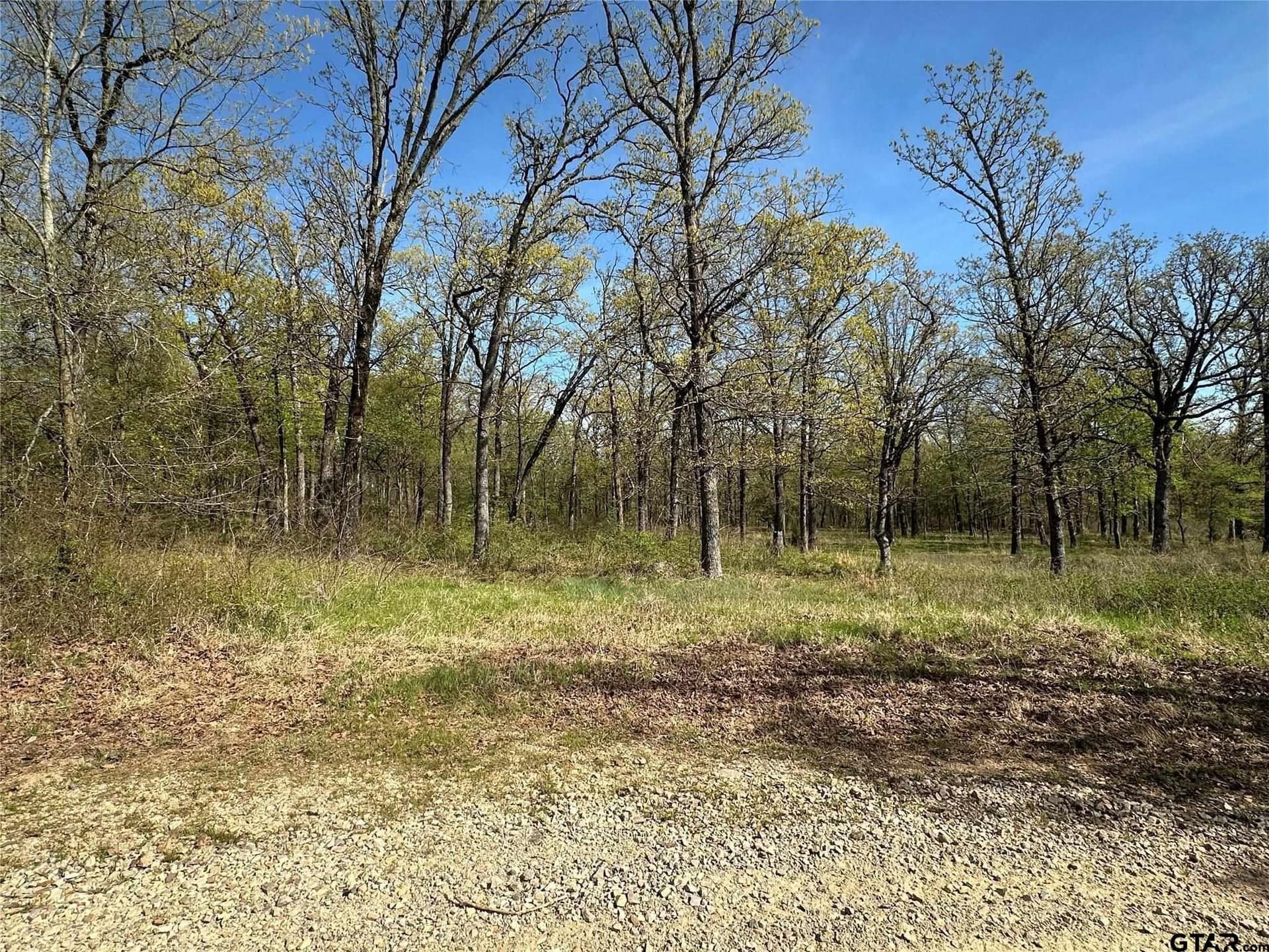 2.44 acres in Hopkins County gallery image 3