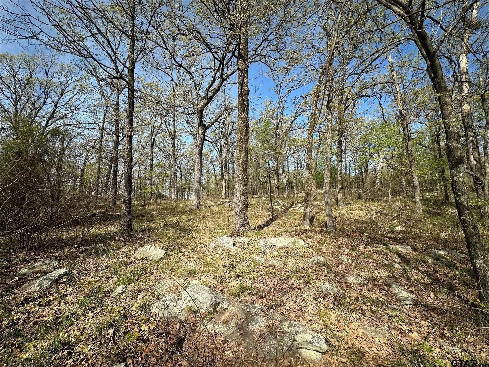 2.44 acres in Hopkins County gallery image 2