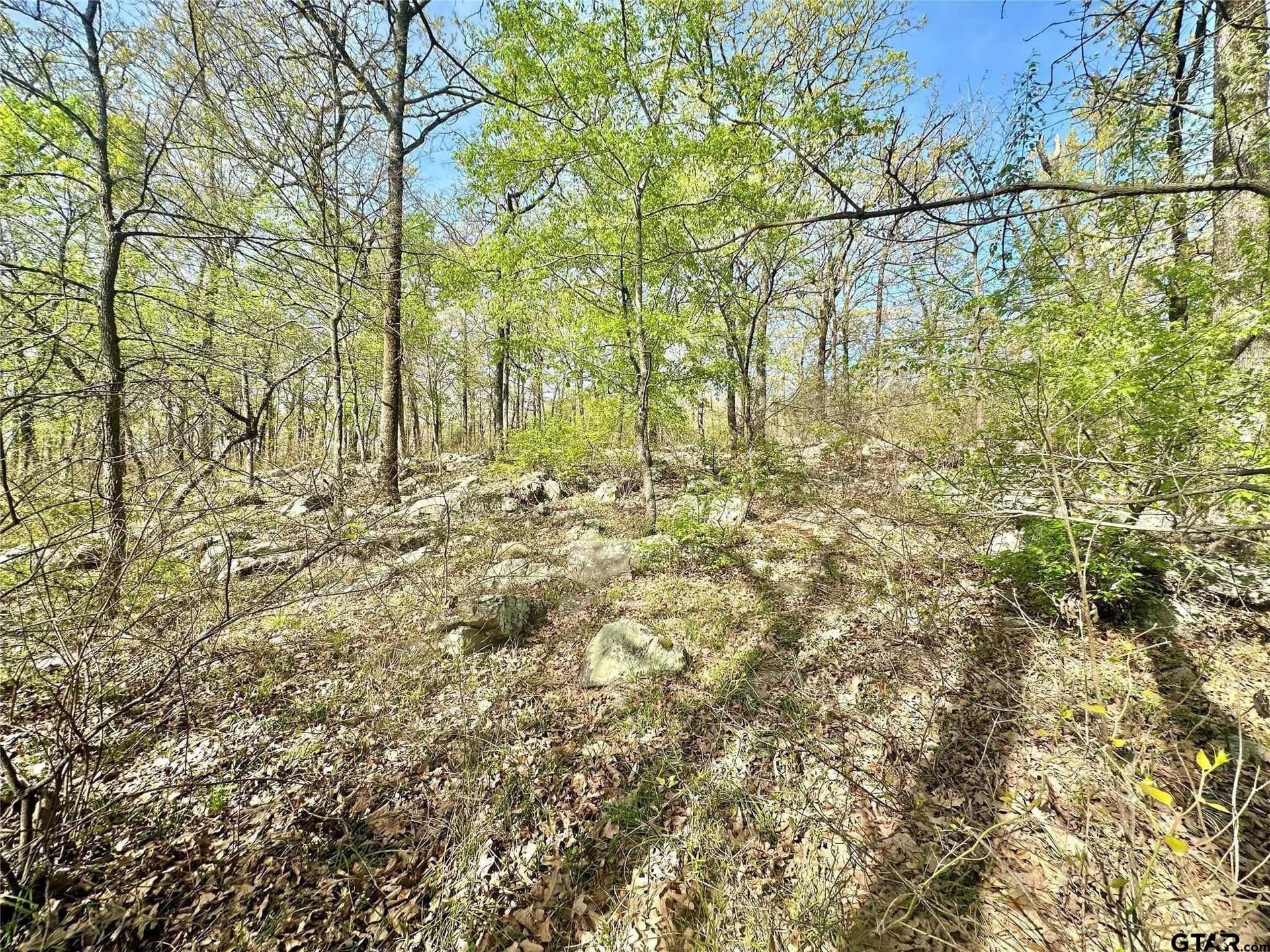 2.44 acres in Hopkins County gallery image 4