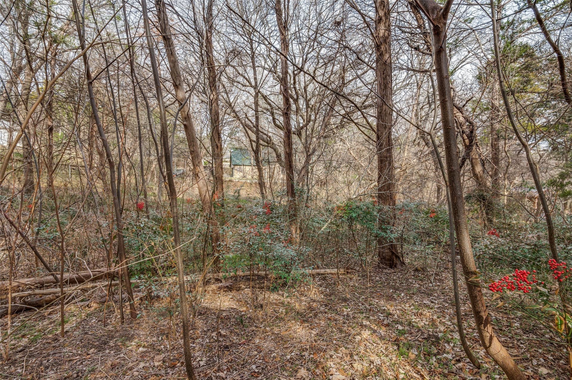 0.54 acres in Dallas County - photo 14