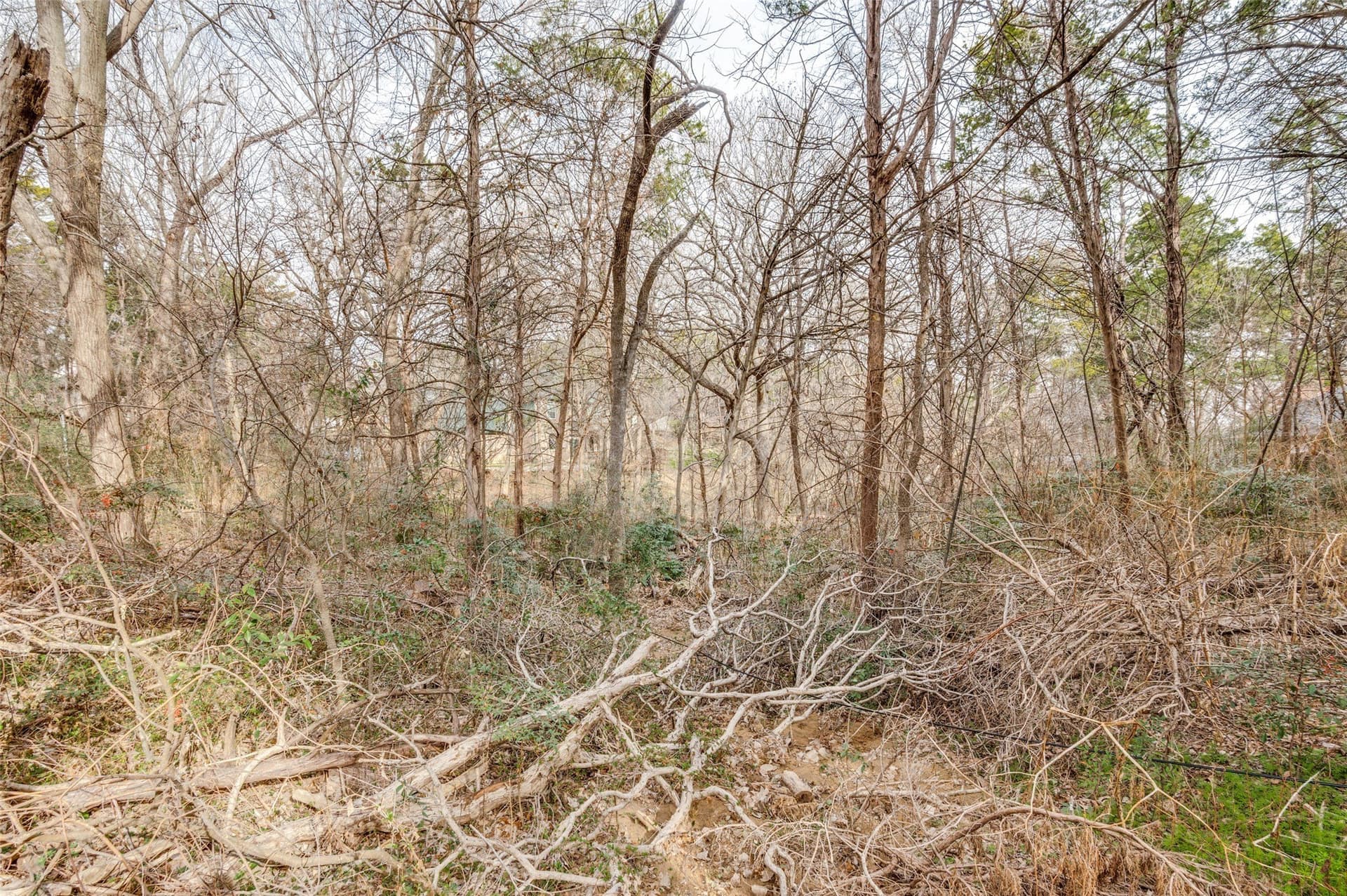 0.54 acres in Dallas County - photo 3