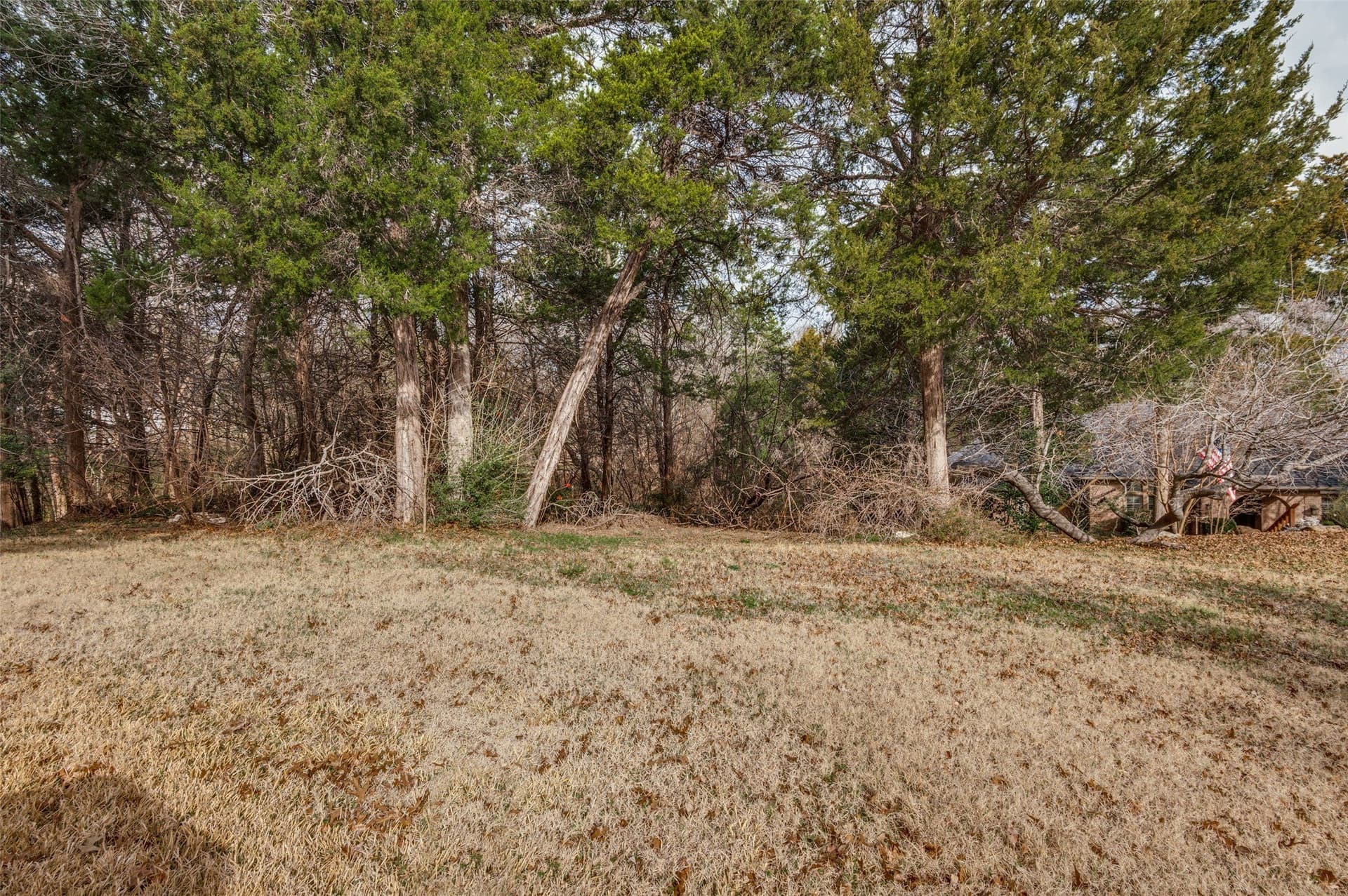 0.54 acres in Dallas County - photo 11