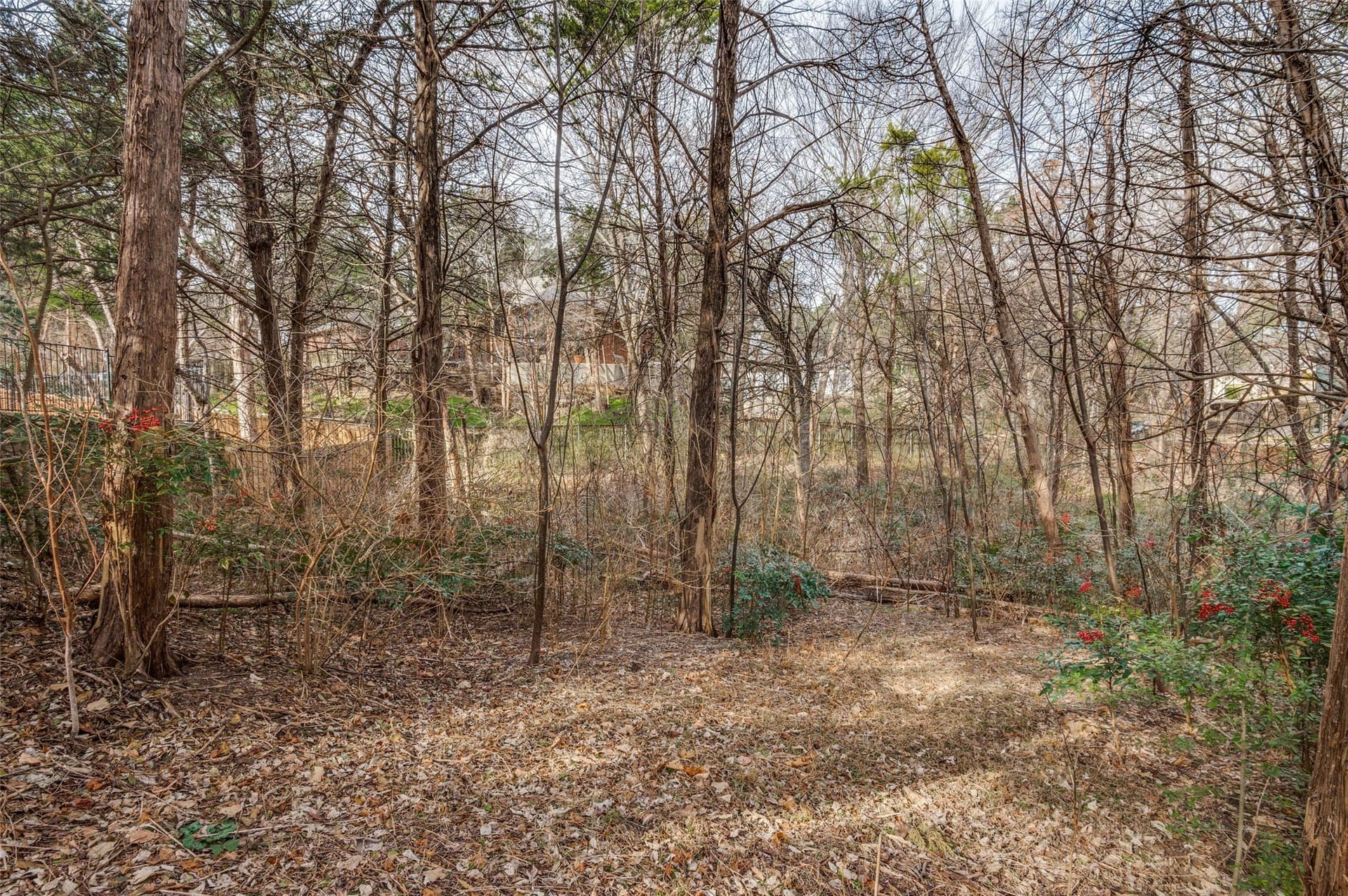 0.54 acres in Dallas County - photo 13