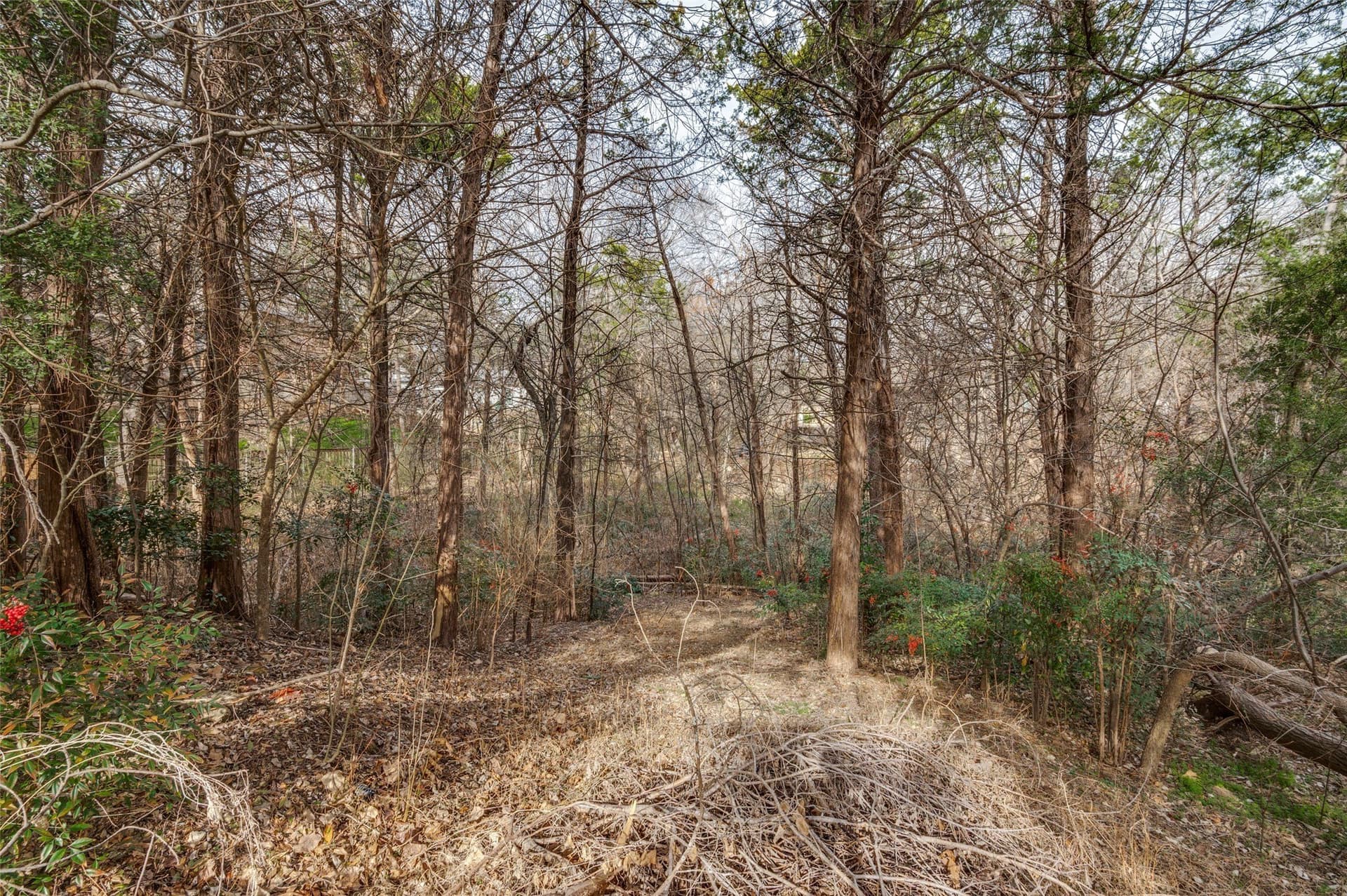 0.54 acres in Dallas County - photo 12