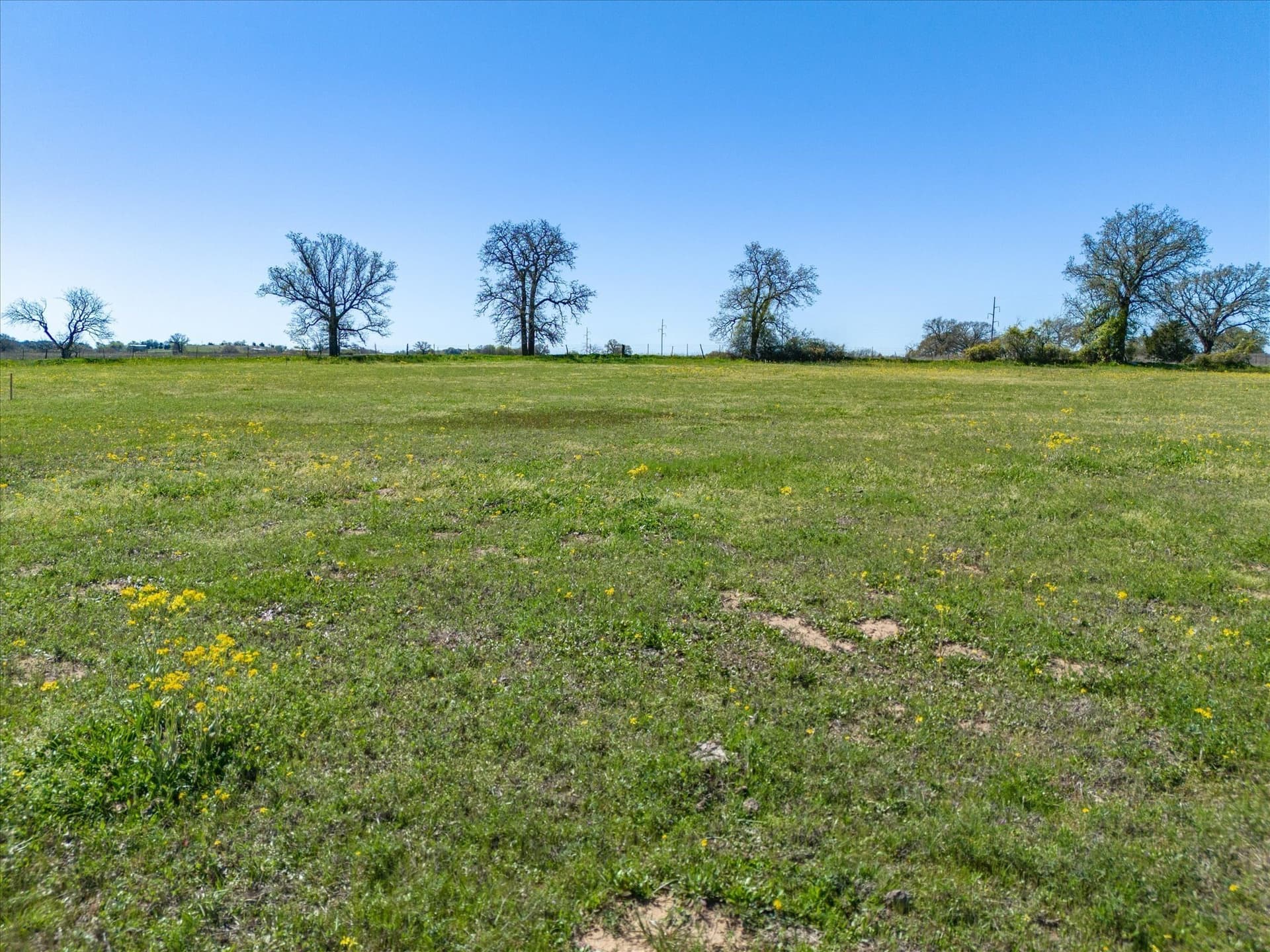 6.4 acres in Wise County - photo 9