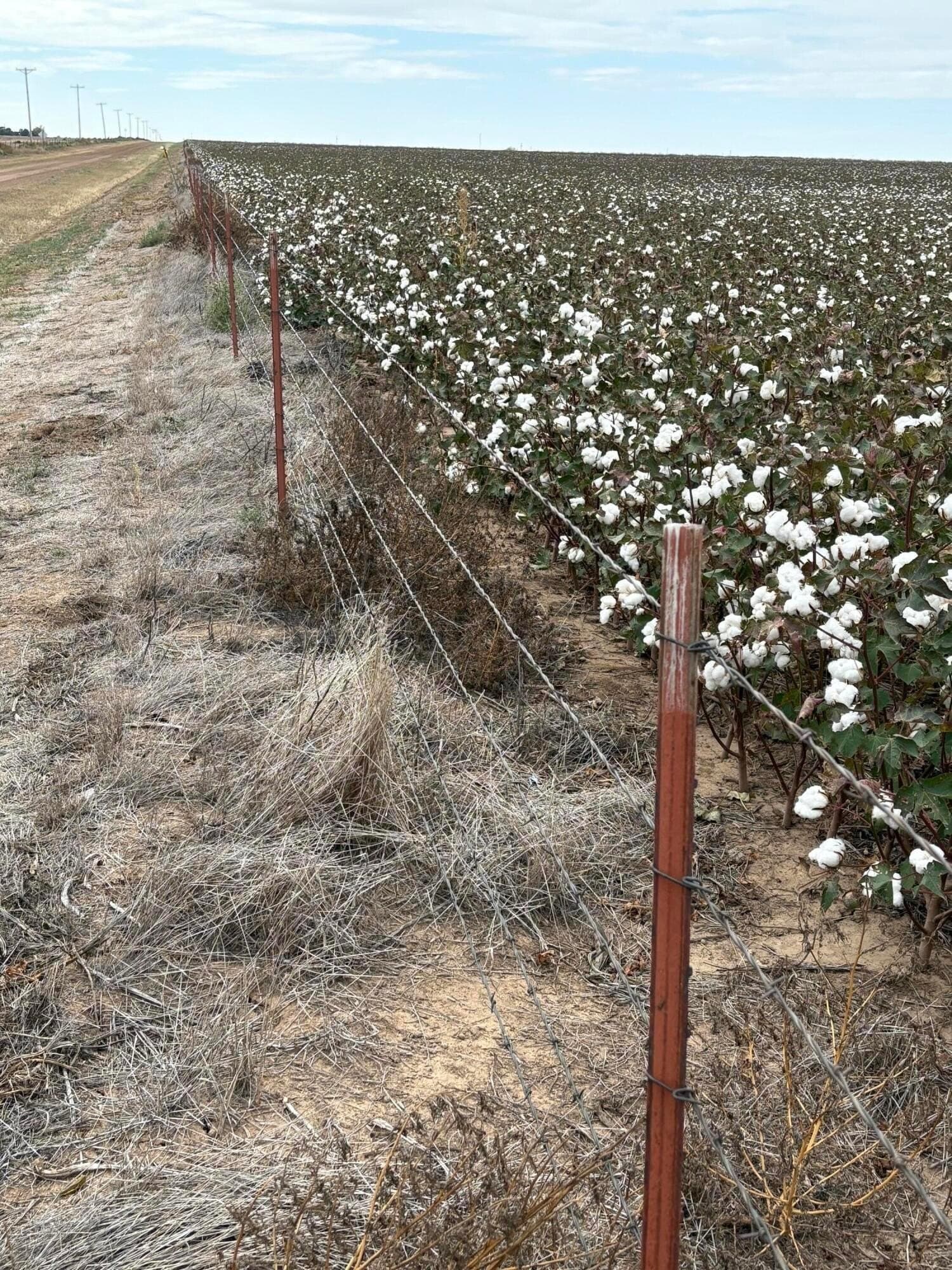 652.8 acres in Randall County gallery image 2