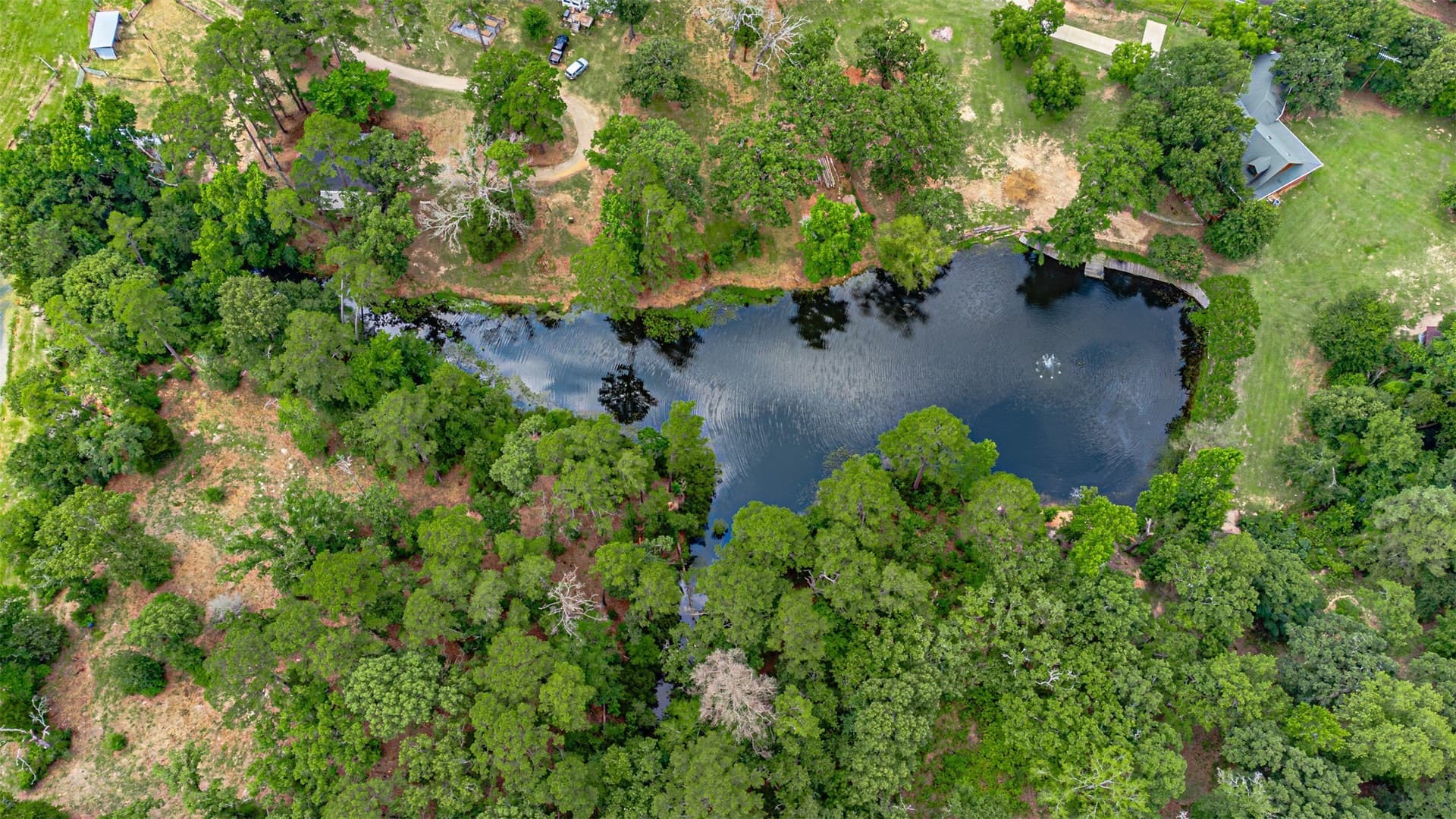 18.74 acres in Henderson County gallery image 3