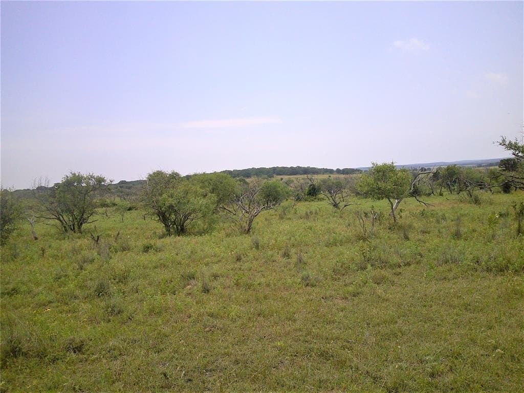 35 acres in Clay County gallery image 4