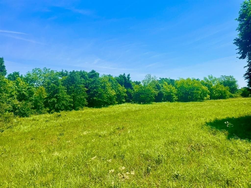 3.37 acres in Parker County gallery image 3