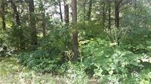 0.12 acres in Grayson County featured view