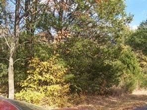 0.12 acres in Grayson County gallery image 4