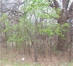 0.12 acres in Grayson County gallery image 3