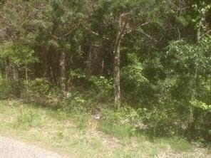 0.12 acres in Grayson County gallery image 2