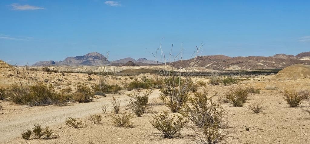 5 acres in Brewster County - photo 10