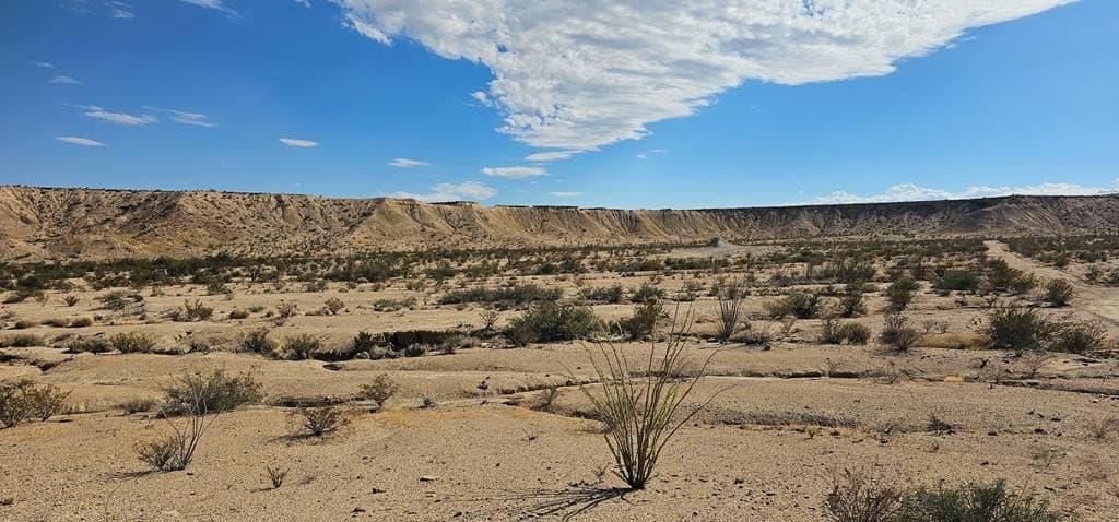 5 acres in Brewster County - photo 9