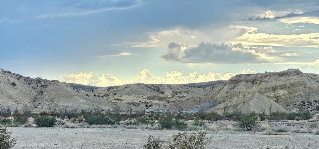 5 acres in Brewster County - photo 13