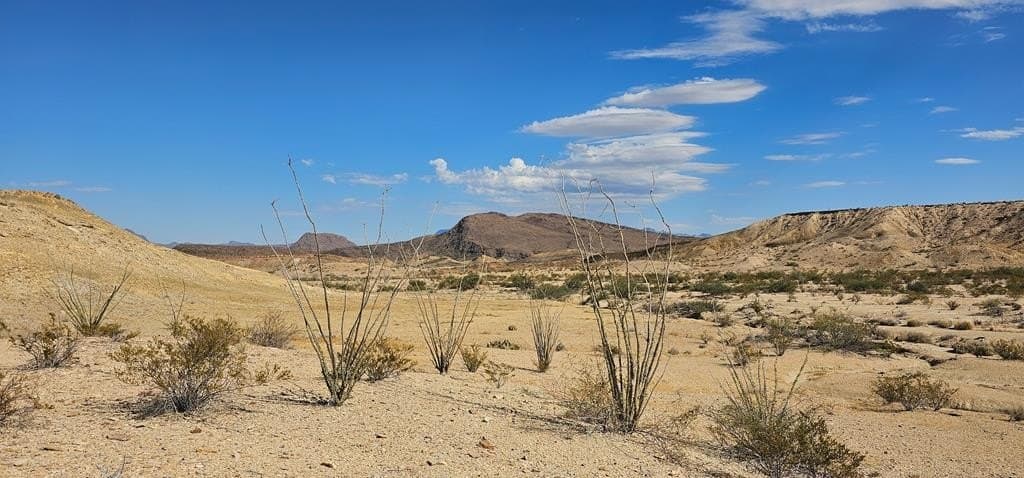 5 acres in Brewster County - photo 8