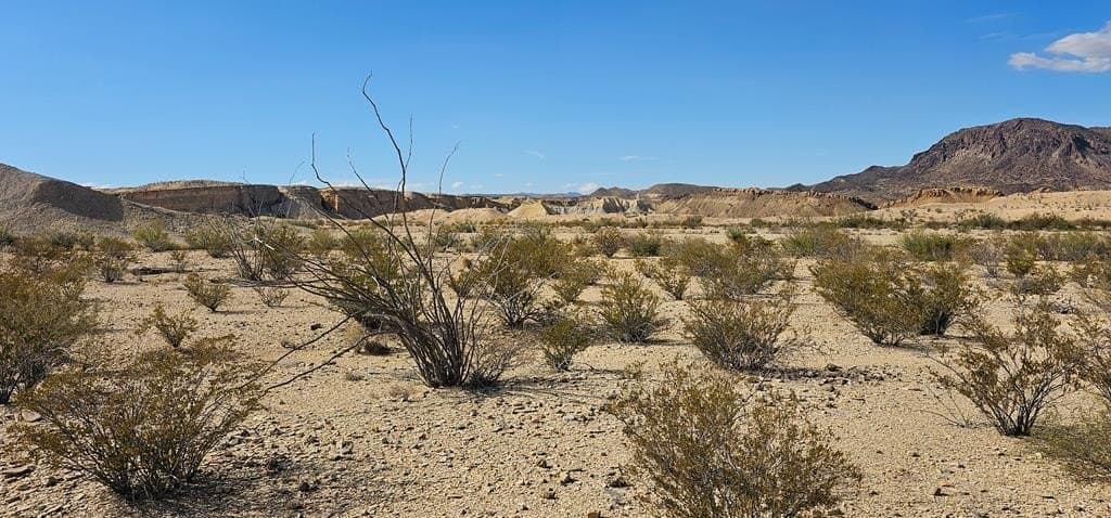5 acres in Brewster County - photo 11