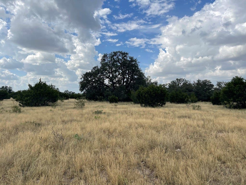 200 acres in Schleicher County gallery image 3