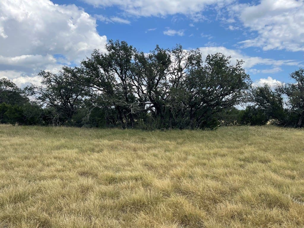 200 acres in Schleicher County gallery image 2
