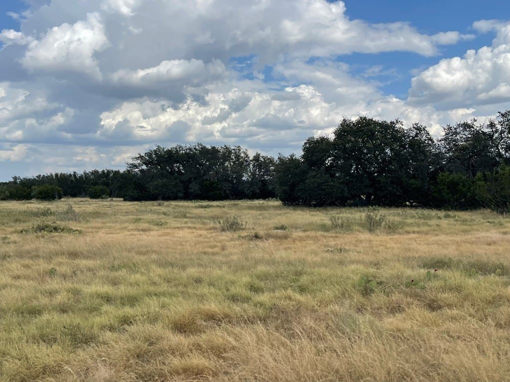 200 acres in Schleicher County - photo 6