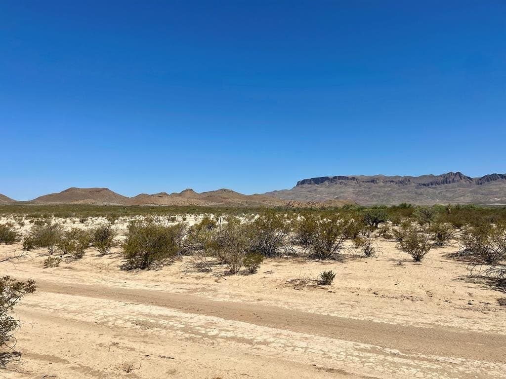 5 acres in Brewster County gallery image 4
