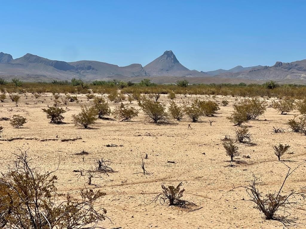 5 acres in Brewster County