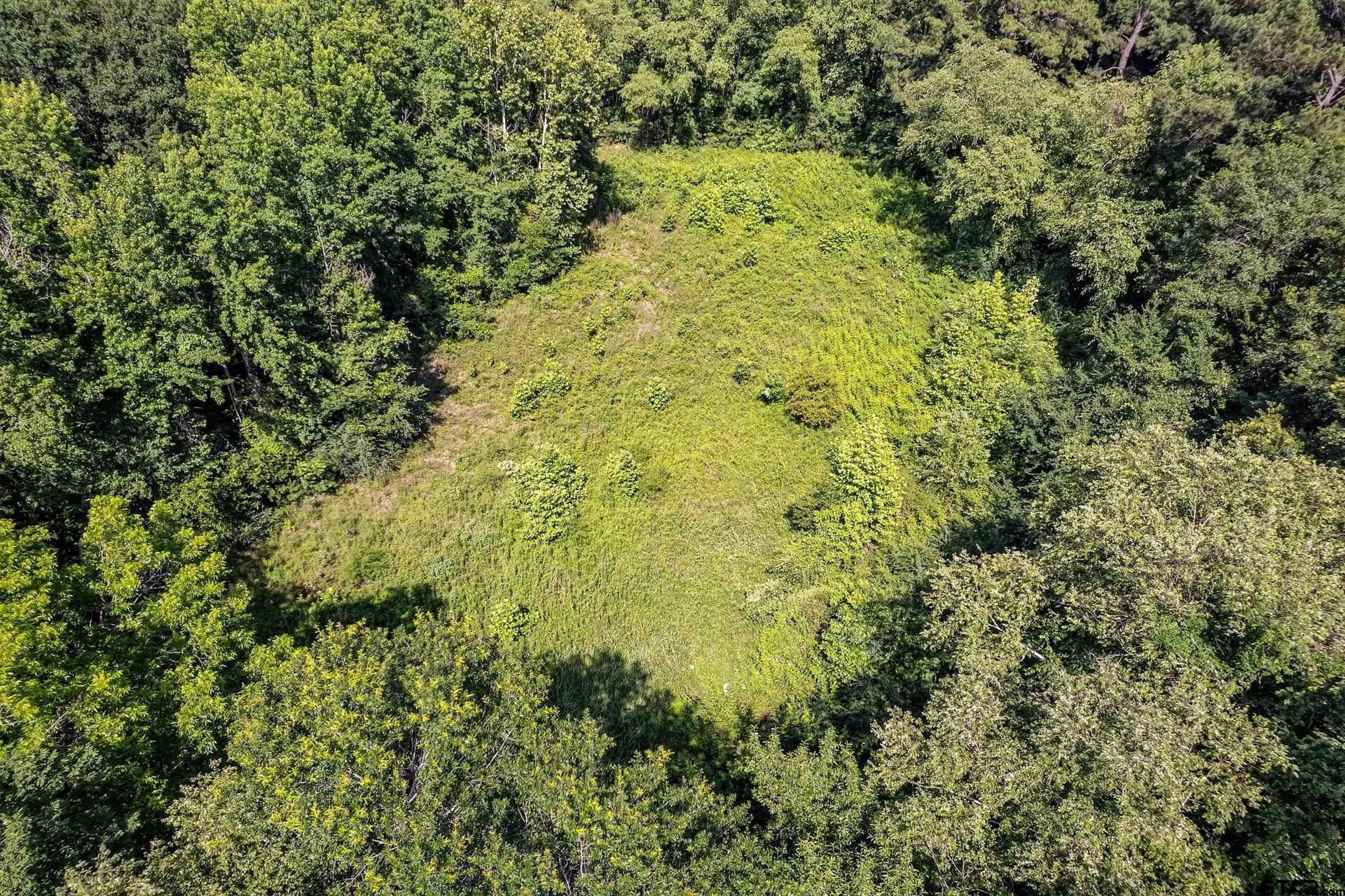 24 acres in Smith County - photo 41