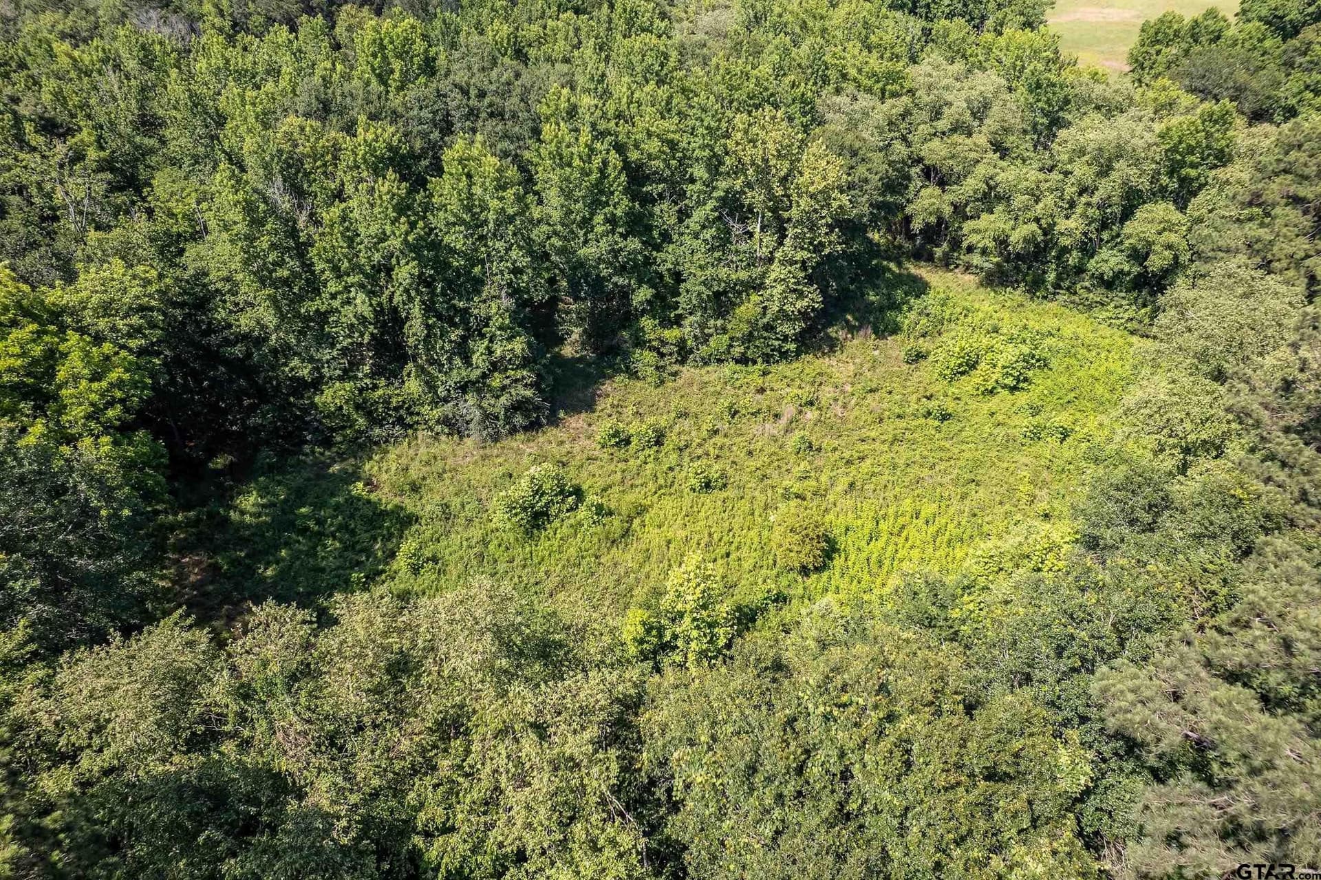 24 acres in Smith County - photo 42