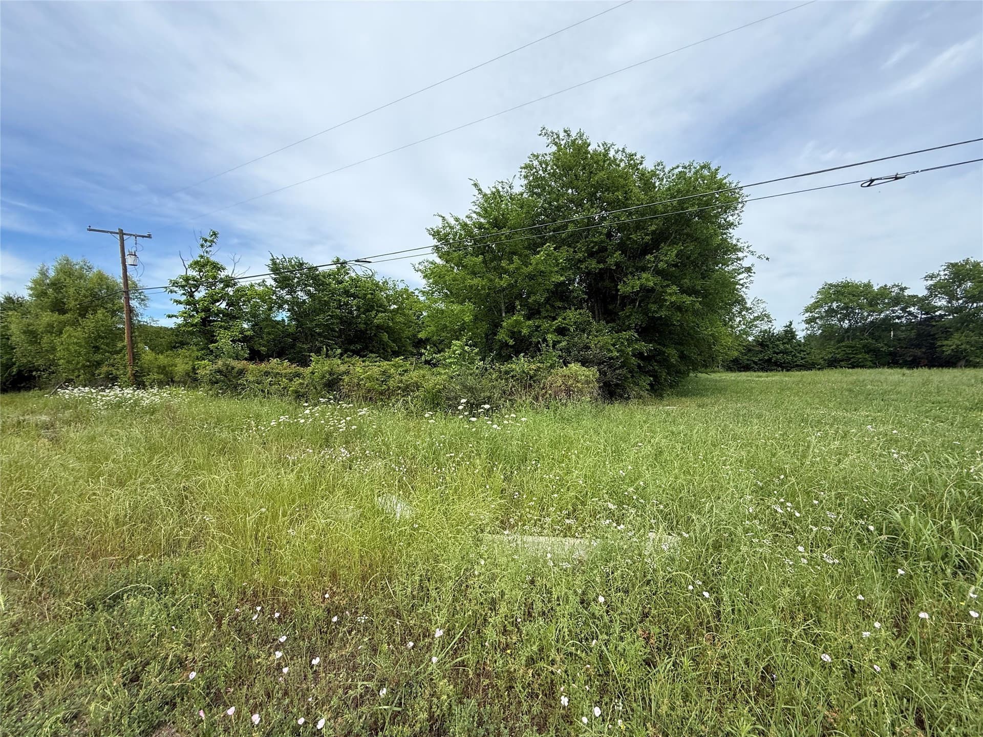 0.5 acres in Red River (TX) County gallery image 3