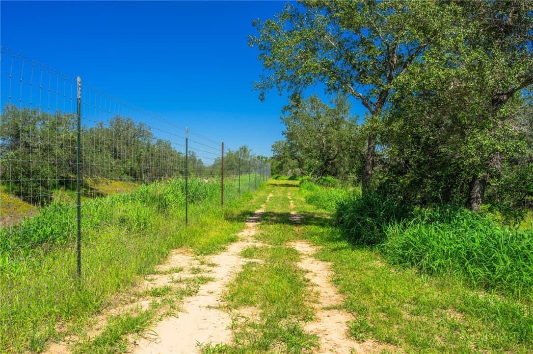 0 acres in Atascosa County - photo 7