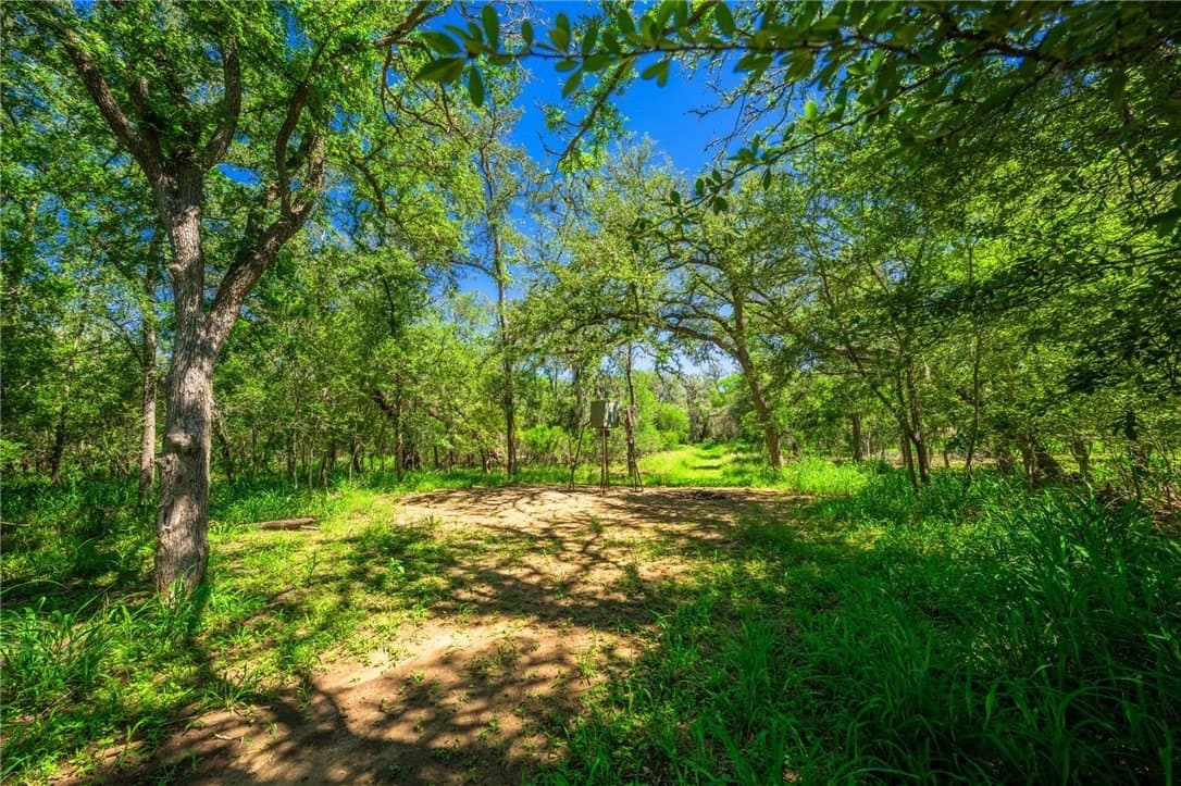 0 acres in Atascosa County - photo 12