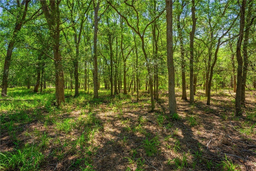 0 acres in Atascosa County - photo 13
