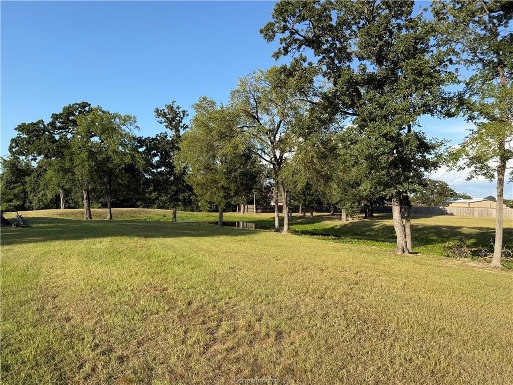 2 acres in Brazos County - photo 10